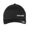 Image de Casquette FLEXFIT